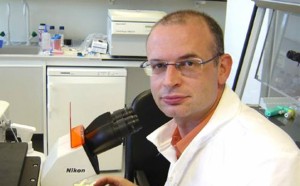 dr stojkovic