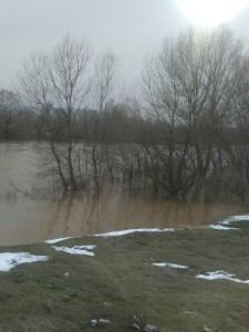 Južna Morava (Foto: M.Jovanović)