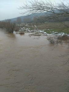 Južna Morava (Foto: Marija Jovanović)