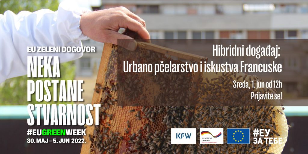 Predavanje o urbanom pčelarstvu u sredu, 1. juna u Nišu